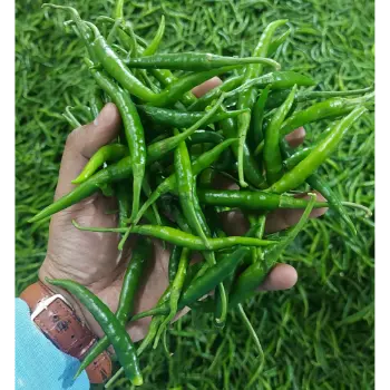 Green Chilli (3)-8941423-42616.webp